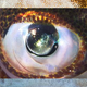 From top, a cuttlefish, squid, and octopus eye, whose weird shapes may allow cephalopods to distinguish color despite being technically colorblind. Image: Roy Caldwell, Klaus Stiefel, Alexander Stubbs